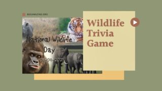 Wildlife Trivia for Adults | Animal Memory Game for Seniors