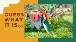 Guess What It Is? (Garden Tools) #elephantbrain #braingames