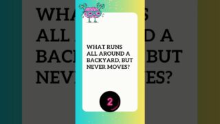 Riddle 19 #elephantbrain