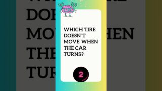 Riddle 22 #elephantbrain