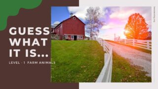 Can You Guess What It Is? A Fun Farm Animals Activity Video for Seniors