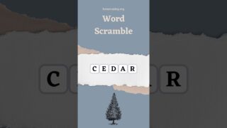 Word Scramble 33 (Trees) – #elephantbrain