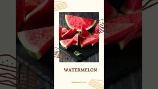 What’s the Name of the Dish (Picnics) #elephantbrain