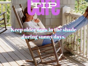 Made In The Shade – Protecting Seniors from Sun Exposure